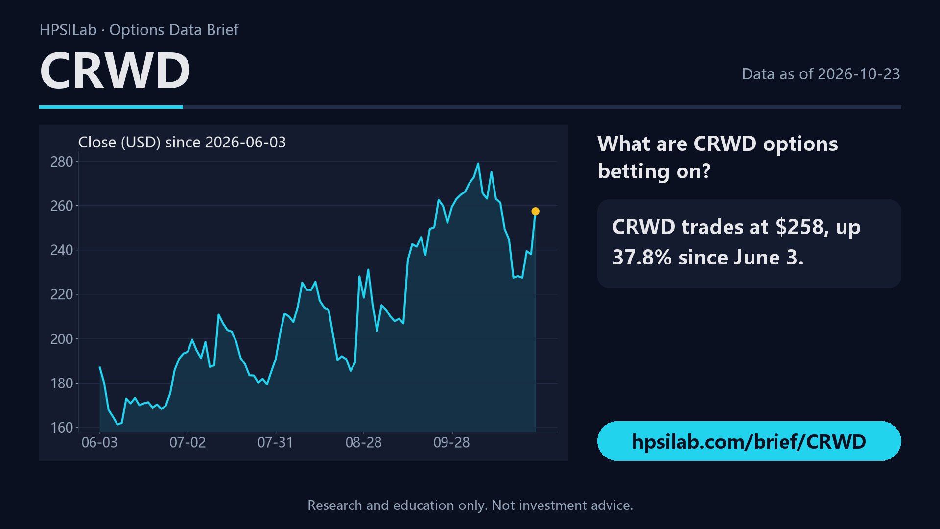 CRWD options brief